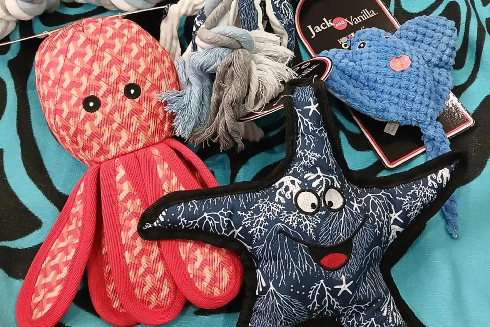 petslife-article-de-blog