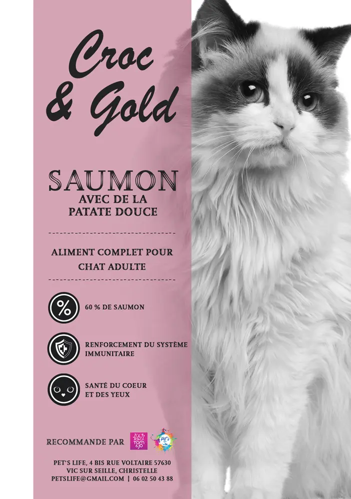 petslife-corc-gold-chat