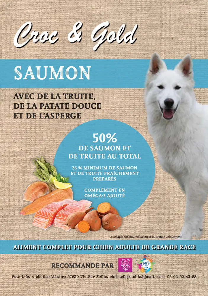 petslife-croc-gold-chien