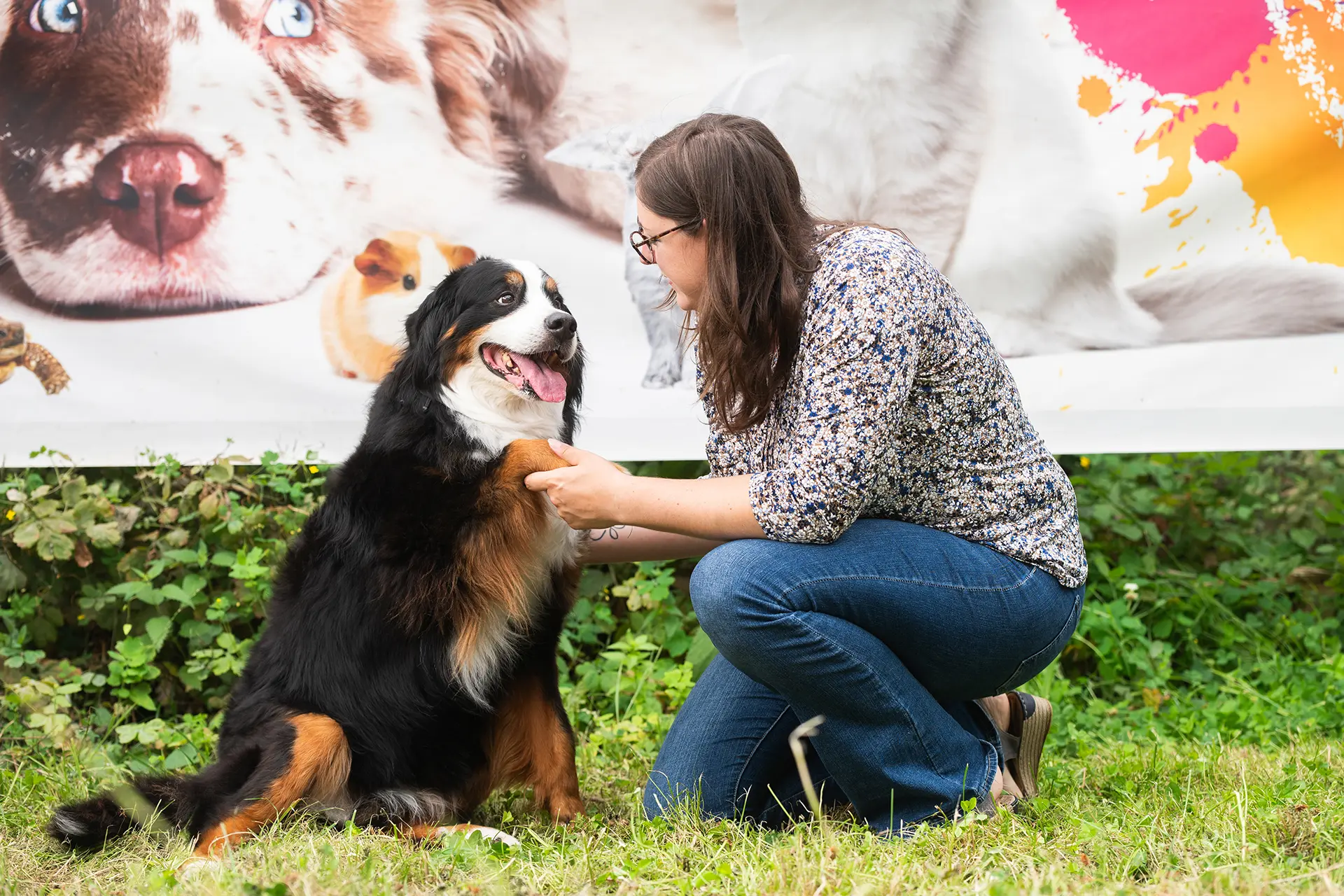 petslife-photo-christelle-chien-donne-patte