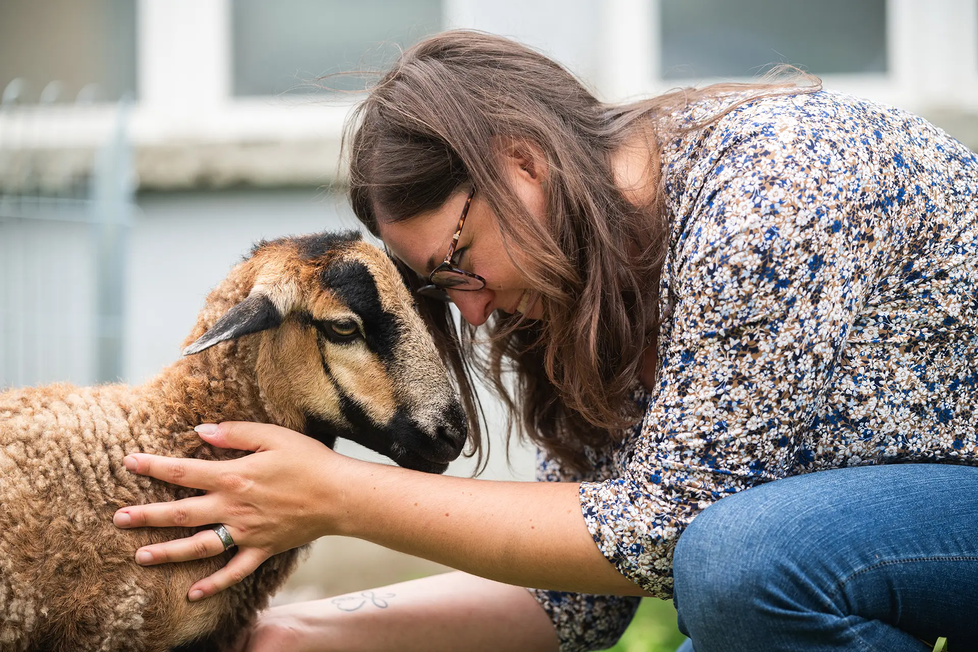 petslife-photo-christelle-mouton-dehors