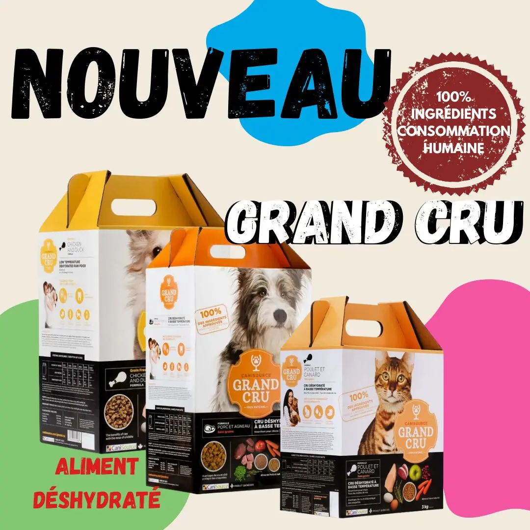 petslife-offre-croquette